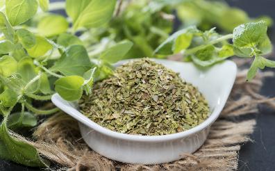 Oregano