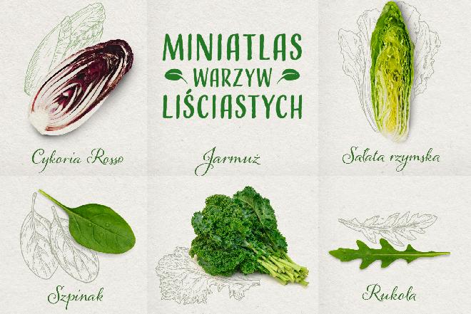 Zimowe warzywa liściaste: gatunki, właściwości, przepisy